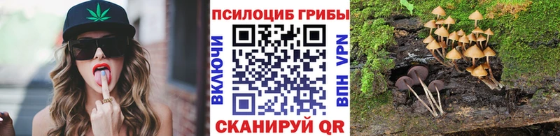 площадка Telegram  Усть-Джегута  Галлюциногенные грибы прущие грибы 