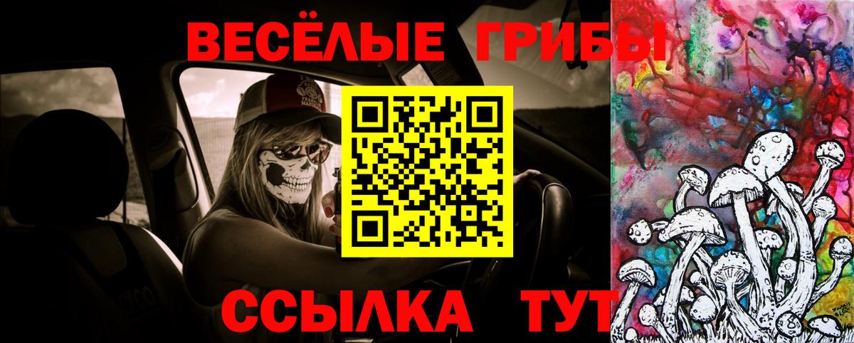 купить наркотики сайты  Усть-Джегута  Галлюциногенные грибы Cubensis 