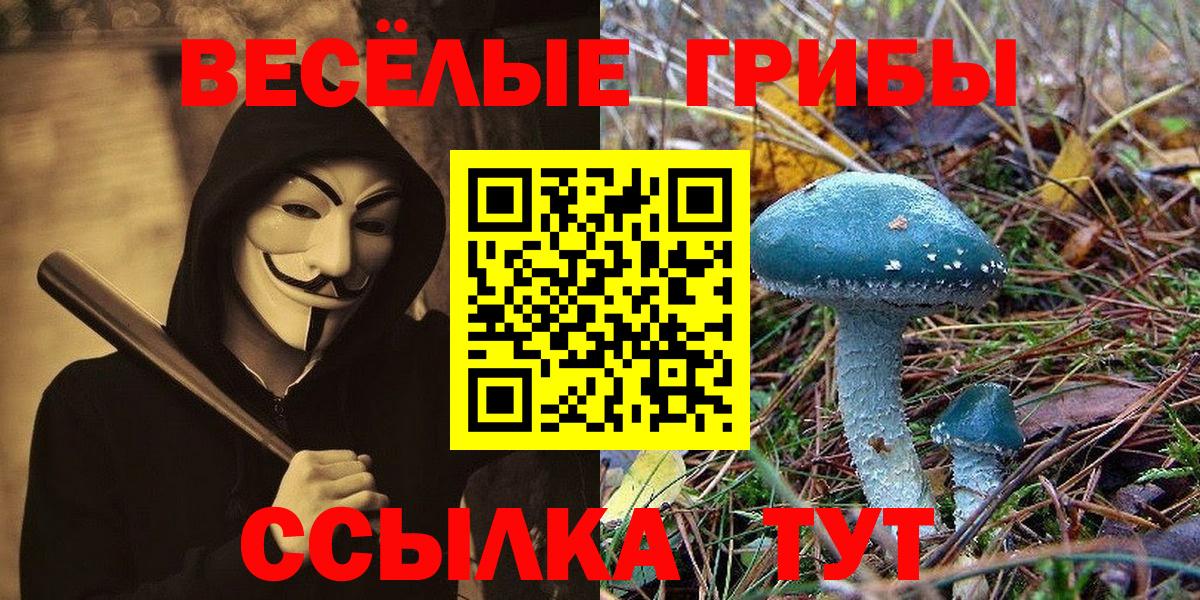 сколько стоит  Вход с VPN  Усть-Джегута  Псилоцибиновые грибы Magic Shrooms  Галлюциногенные грибы Psilocybine cubensis 